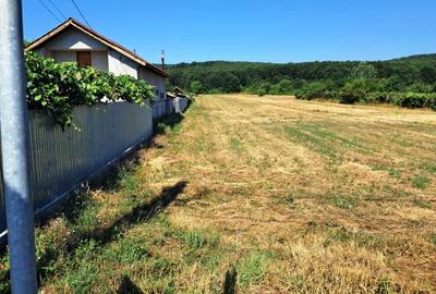 TEREN INTRAVILAN ȘI EXTRAVILAN TURCINEȘTI - 4