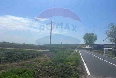 Teren Construcții intravilan de 6084 mp, în Jorăști - 4