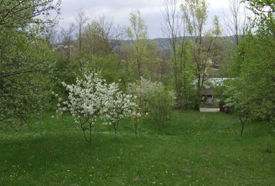 Spațiu comercial, în Podul Vadului - 7