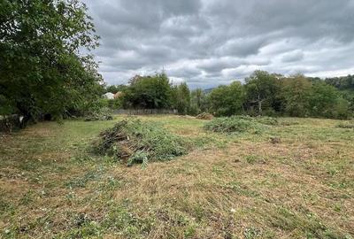 Teren de 2700 mp, în Telega - 6