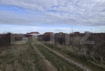Teren de 10925 mp, în Sânmartin - 1