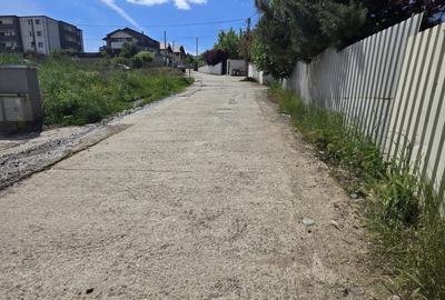 Peste drum de Mega Image VIȘAN, teren 711 mp, intre case, pozitie excelenta ! - 3
