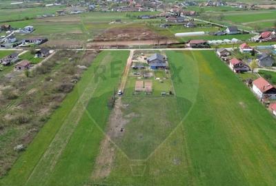 Teren de 1343 mp, în Cătălina - 4