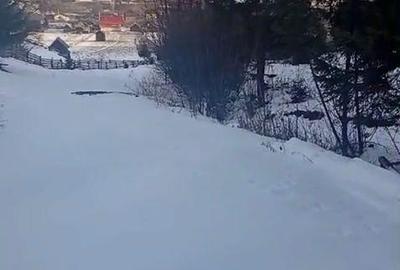 Teren de 8179 mp, în Cârlibaba - 3