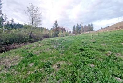 Teren Construcții intravilan de 941 mp, în Hangu - 3