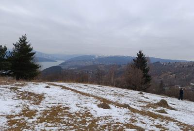 Spațiu comercial, în Chirițeni - 3