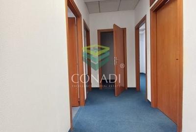 Birou de inchiriat // Domenii // Mihalache - 20