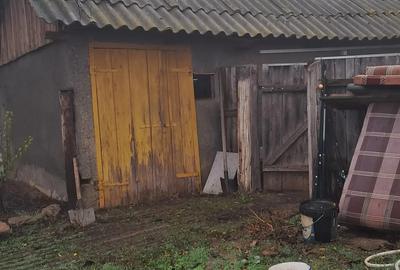 Vand casa la tara - 3