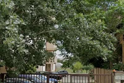 Apartament 2 camere Ozana - 1