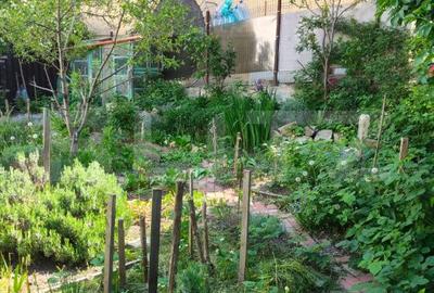 Apartament cu 2 camere în Central - 11