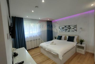 Garsonieră semidecomandată în Terezian - 2