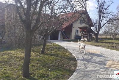 Casă cu 7 camere cu Teren 3200 Mp în Viile Satu Mare - 3