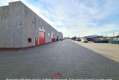 Hale noi in Baicoi, Ph--13.000mp--3e - 7