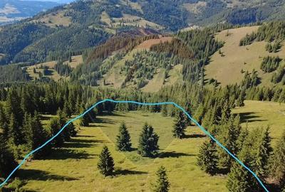 Teren de 24581 mp, în Panaci - 7