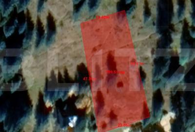 Teren de 990 mp, în Mănăștur - 3