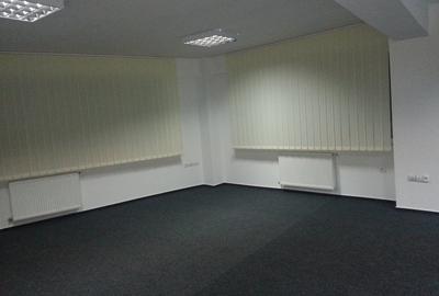 Casa Poporului vanzare casa vila - 12