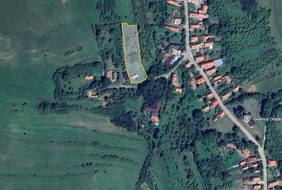 Casă cu 2 camere în Central - 2