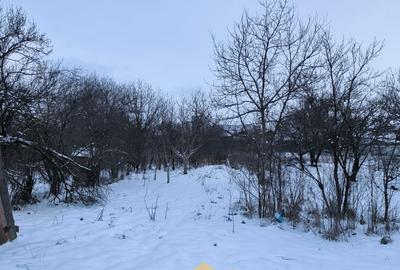 Spațiu comercial, în Podari - 11