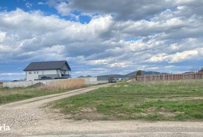 Spațiu comercial, în Sânpetru - 5