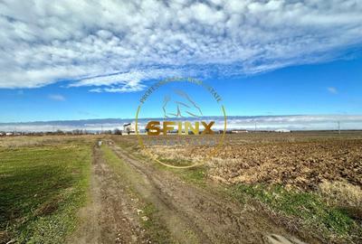 LOT de casa Tartasesti Primarie, teren cu potential - 1