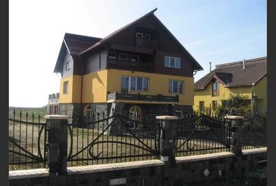 Villa for sale, 9 Rooms, land 4500 sqm, Păulești - 4