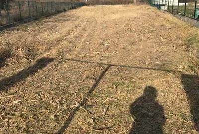 Teren de 3000 mp, în Săsenii Vechi - 5