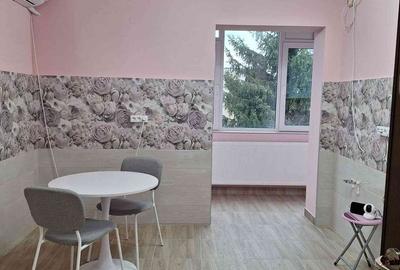 Apartament cu 2 camere în Nicolae Bălcescu - 17