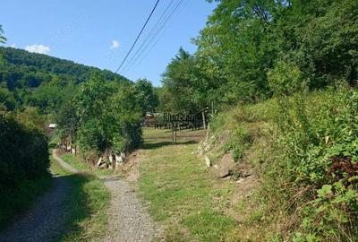 Cabana, anexe si 2000 mp teren intravilan in Taratel, Brad - 2