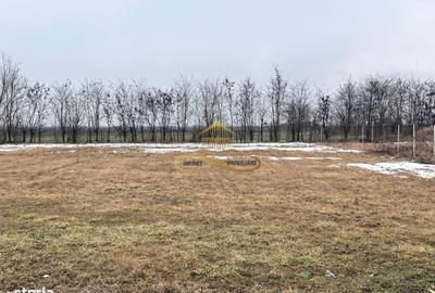 Spațiu comercial, în Siretu - 2