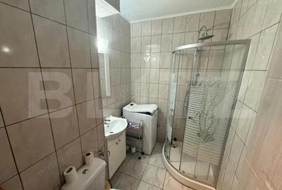 Garsonieră semidecomandată în Brazda lui Novac - 6