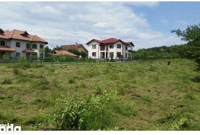 Teren de 3676 mp, în Păulești - 5