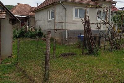 Casă cu 2 camere în Urișor - 4