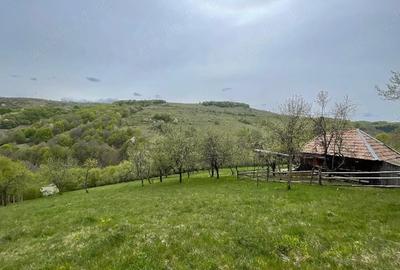 Casă cu Teren 15000 Mp în Bătrâna - 5