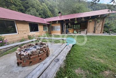 Spatiu de vanzare in Valea Macesului judel Valcea iesire la Lotru - 31