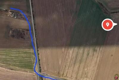 Vanzare Teren intravilan 5000mp Magurele - 8