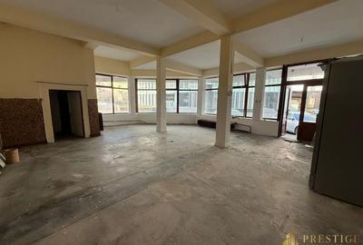 Spațiu comercial, de 232.55999755859 mp, în Central - 3