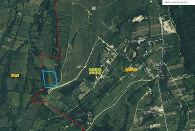 Vand 3 ha teren extravilan in Glajerie, Rasnov - 2