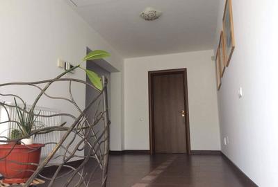 Casă cu 4 camere cu Teren 300 Mp în Dosu Bricii - 5