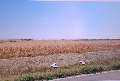 Teren de 7000 mp, în Merei