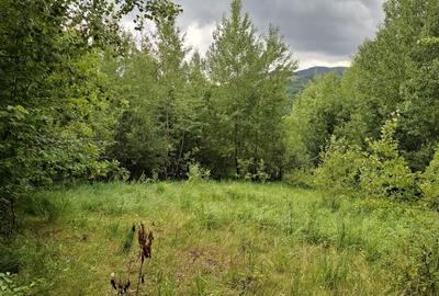 Teren intravilan de 12.147 m² de vânzare în Sovata, pe strada Răchitei - 3