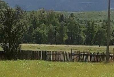 Teren de 6879 mp, în Dumbrăveni - 10