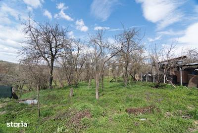 Casă cu 3 camere cu Teren 1000 Mp în Mihăești - 2