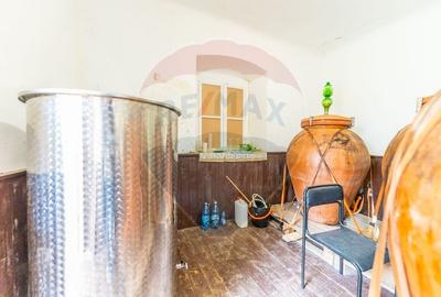 Conac aristocratic secolul XIX , domeniu  2,5 hectare -- Paulis, Arad - 20