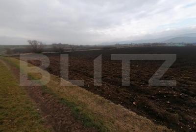 Teren extravilan 21300 mp zona Vintu de Jos - 4