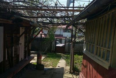 Casa la tara Ulmu Calarasi - 3