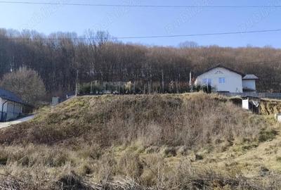 Teren de 694 mp, în Bascov - 1