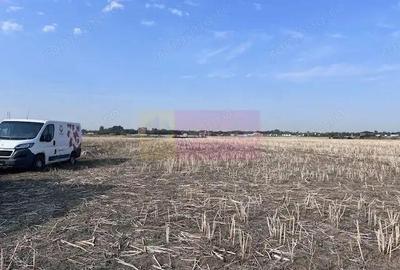 Teren de 500 mp, în Domnești - 3