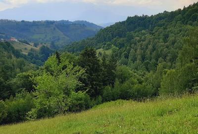 Teren de 7200 mp, în Peștera - 3