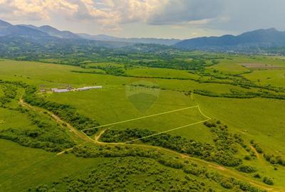 Teren agricol extravilan de 10800 mp, în Vest - 2