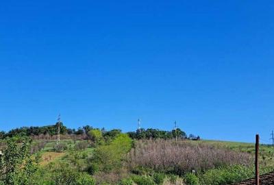 Cota de 1/2 din teren extravilan, comuna Rogova, Jud Mehe... - 2